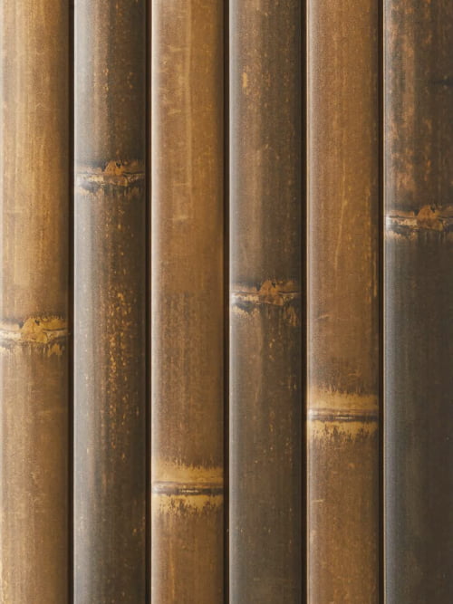 グローベン竹 リアルフィット