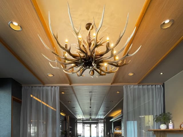 DEER HORN CHANDELIR(鹿角シャンデリア6灯式)|有限会社GR COMPANY