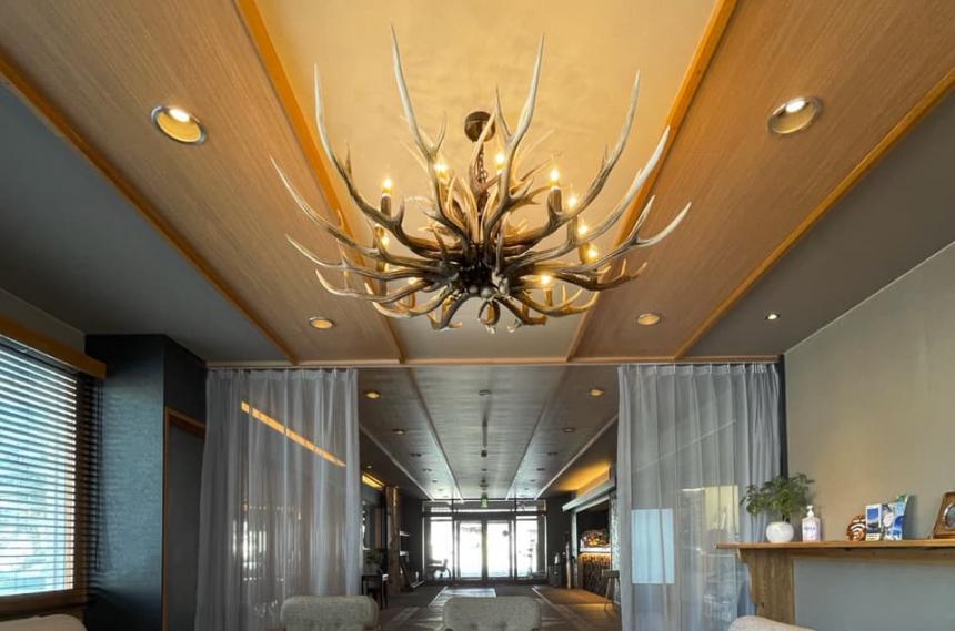 DEER HORN CHANDELIR(鹿角シャンデリア6灯式)