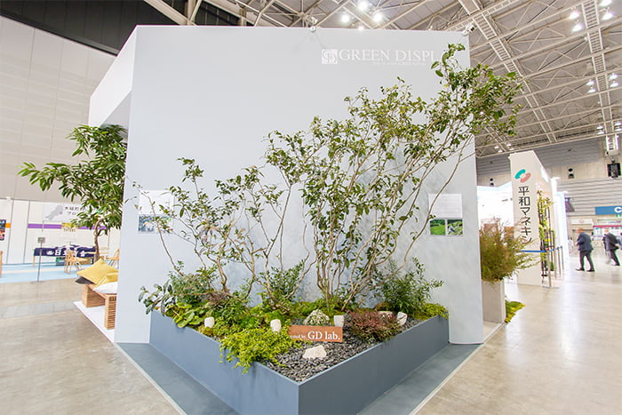 サスティナブルな植木お茶の木(オチャノキ)