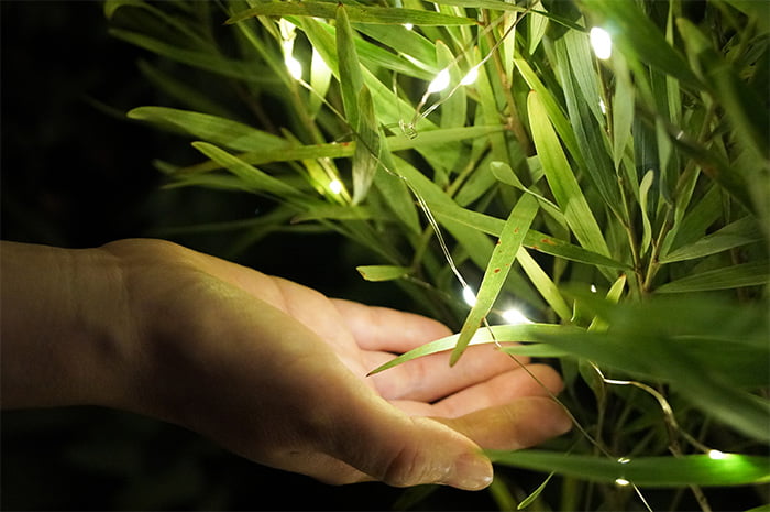 botanical light (ボタニカルライト) ―植物発電―/株式会社グリーンディスプレイ