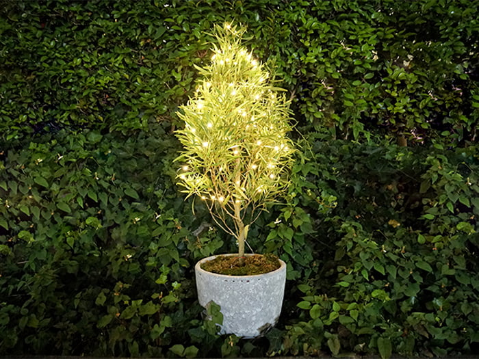 botanical light (ボタニカルライト) ―植物発電―/株式会社グリーンディスプレイ
