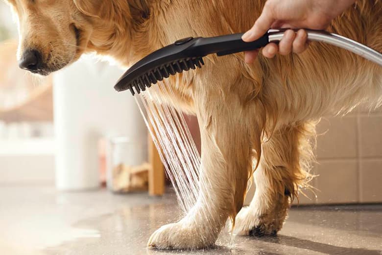 Dog Shower(ドッグシャワー)ハンスグローエジャパン株式会社