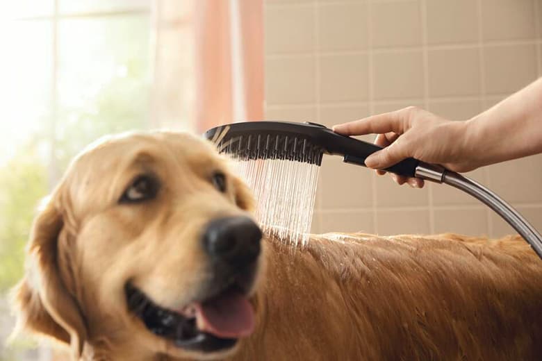 Dog Shower(ドッグシャワー)ハンスグローエジャパン株式会社