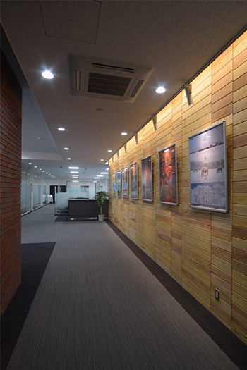 【道南杉】フリー板 無節/25mm or 30mm