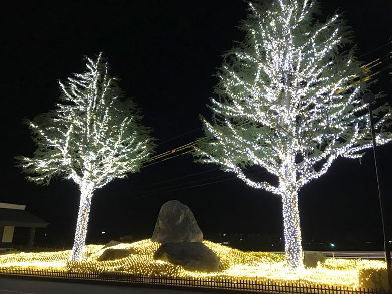 LEDイルミネーション