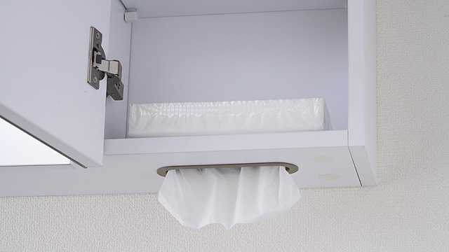 スリムLミラーキャビネット /株式会社北海道トレーディングサービス