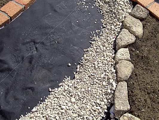 【地球樹】グラスバスター