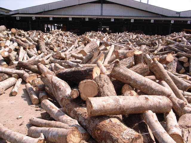 【地球樹】ラバーウッドフローリング