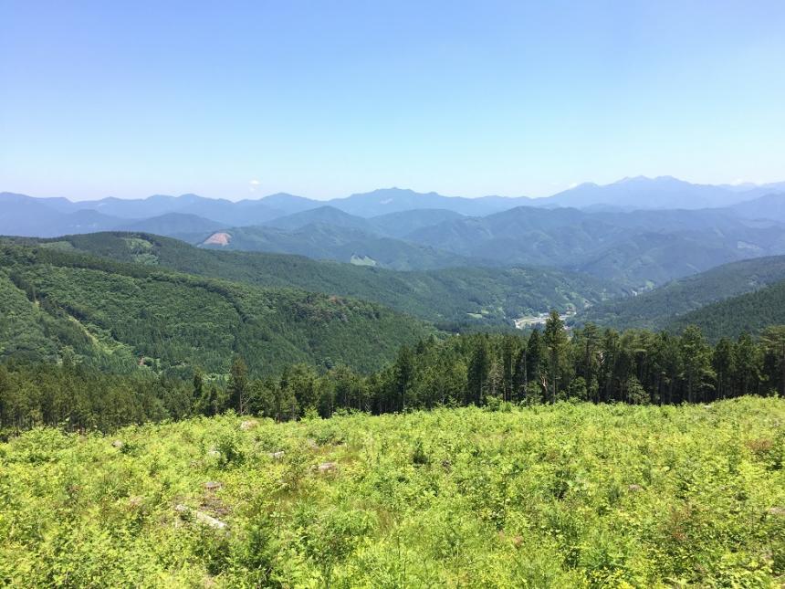 【地球樹】国産構造材プレカットパック”HINOKI”