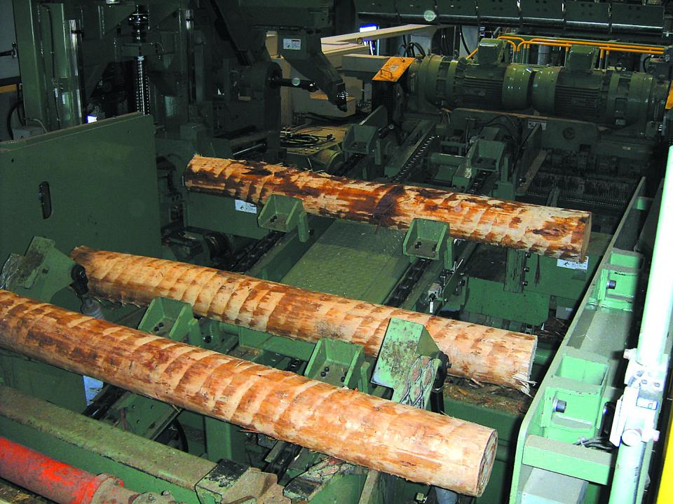 【地球樹】ヒノキハイブリッド合板