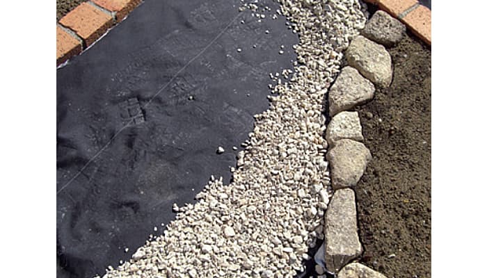 【地球樹】グラスバスター