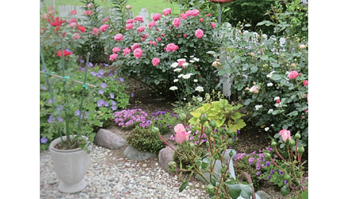 【地球樹】グラスバスター