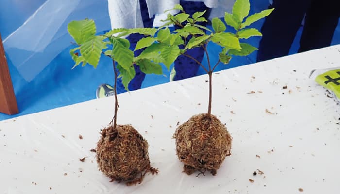 【地球樹】シリーズ