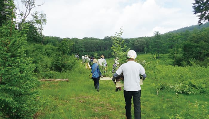 【地球樹】シリーズ