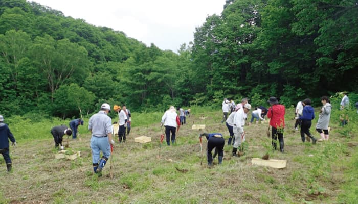 【地球樹】シリーズ