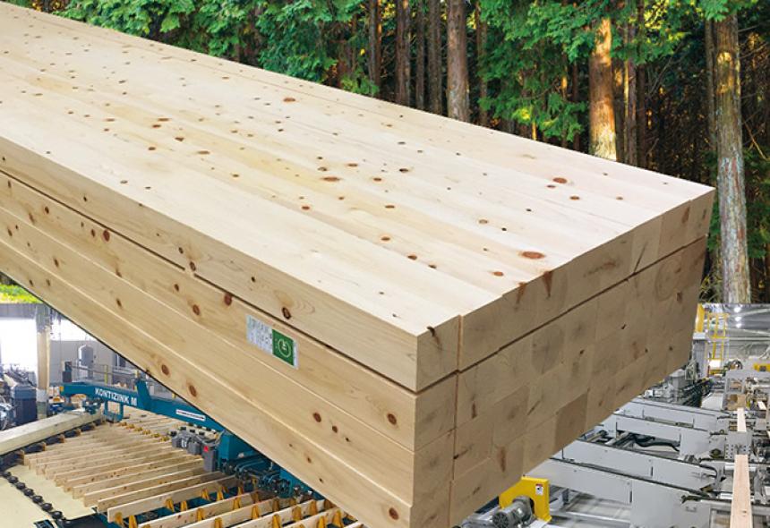 【地球樹】シリーズ