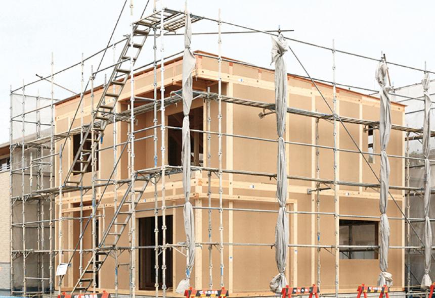 【地球樹】シリーズ