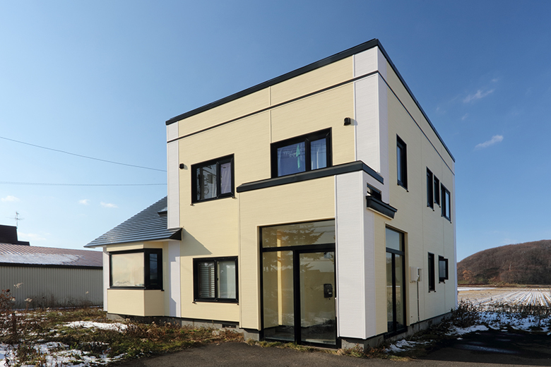 アイジーサイディング【NP-シャドーライン】