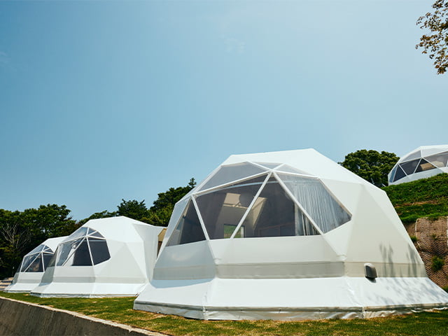 GEO EARTH DOME