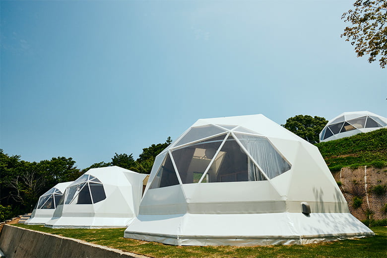 GEO EARTH DOME