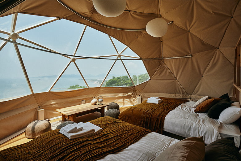 GEO EARTH DOME