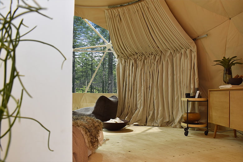 GEO EARTH DOME