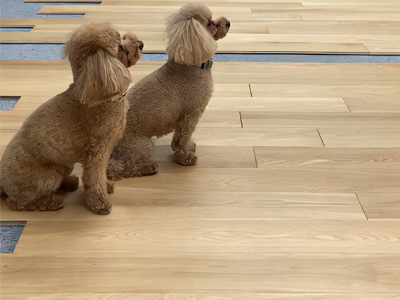 IOCの防滑フローリング