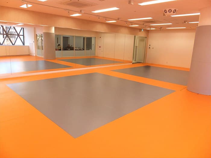 総合格闘技マット SR-40/SR-50