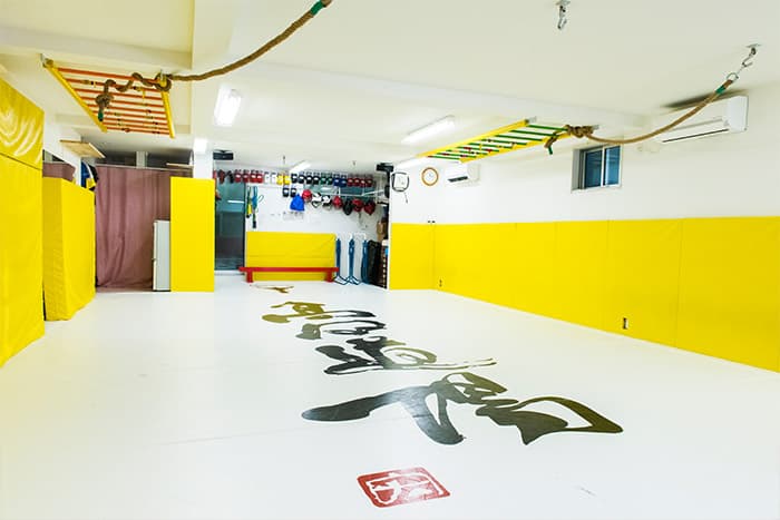 総合格闘技マット SR-40/SR-50