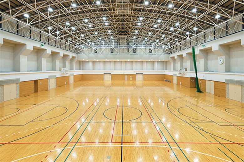 レディオック ハイベイ ガンマシリーズ