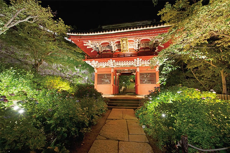 レディオック LEDアイランプ E39口金形