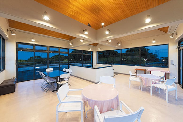 レディオック LEDアイランプ E26口金形