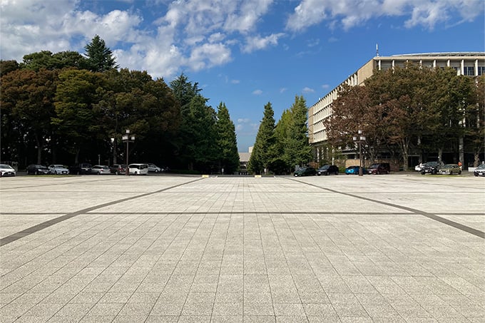 舗装ブロック【アスカ】/株式会社イワタ