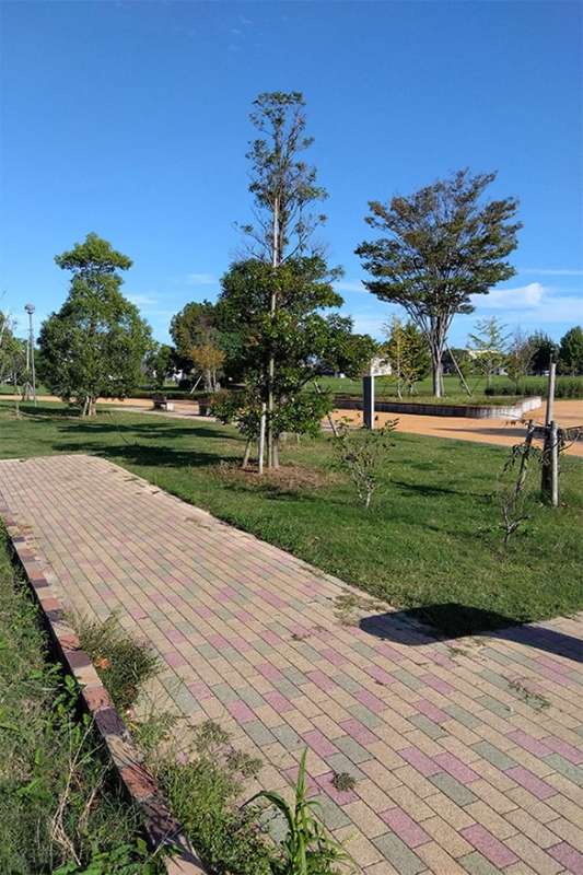 舗装ブロック【パルテ】/株式会社イワタ