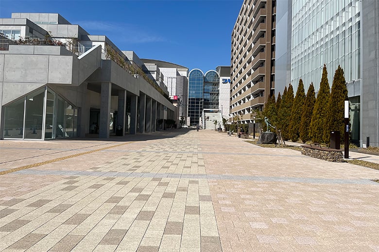 舗装ブロック【ザ・擬石】/株式会社イワタ