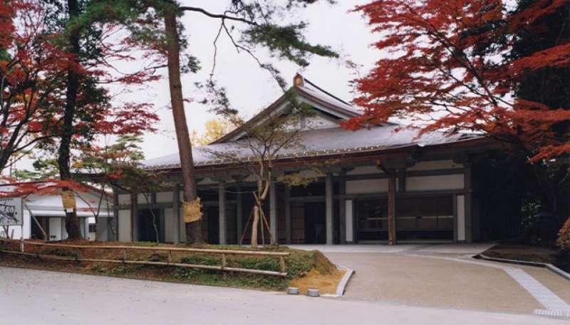 ニューヒューミライト