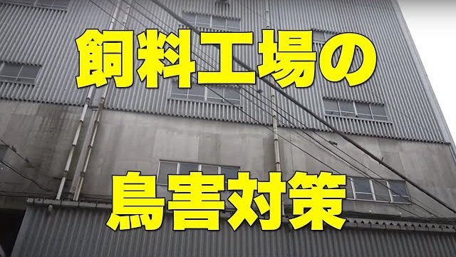 食品工場・倉庫に効果抜群の鳥害対策商品です。