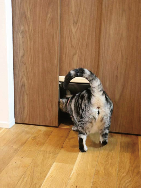 【機能ドア】ペットドアタイプ(Caro カロ)