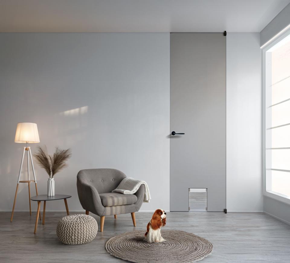 【機能ドア】ペットドアタイプ(Caro カロ)