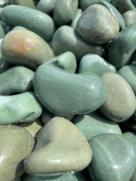 エメラルドグリーン/株式会社ダイセイ