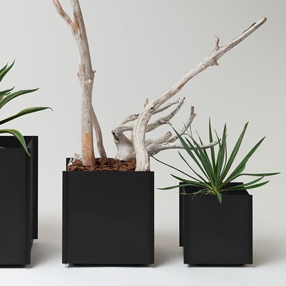 プラントボックス「鉄鉢」