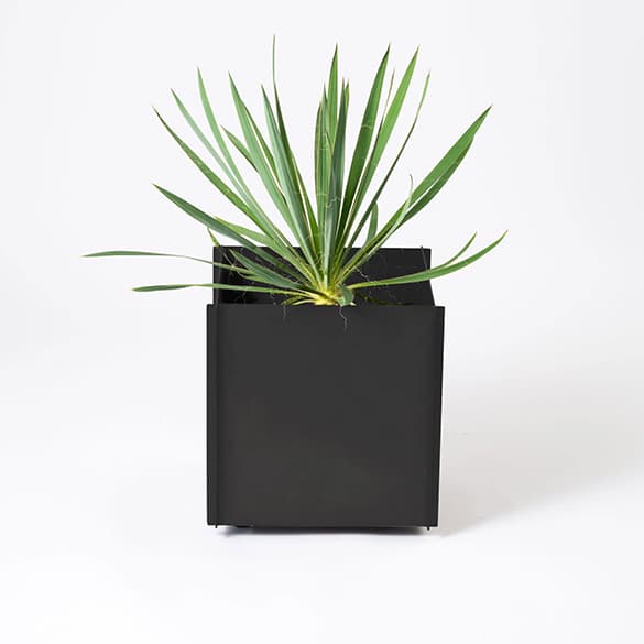 プラントボックス「鉄鉢」