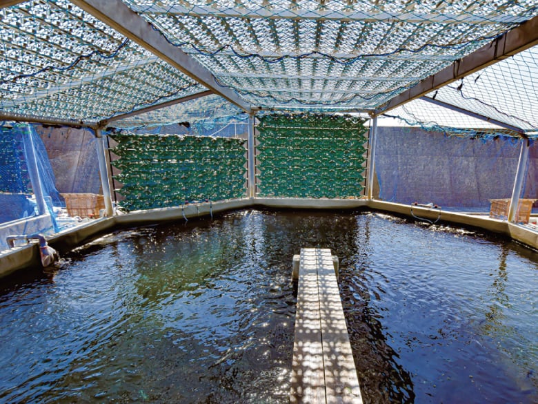 金属製フラクタル