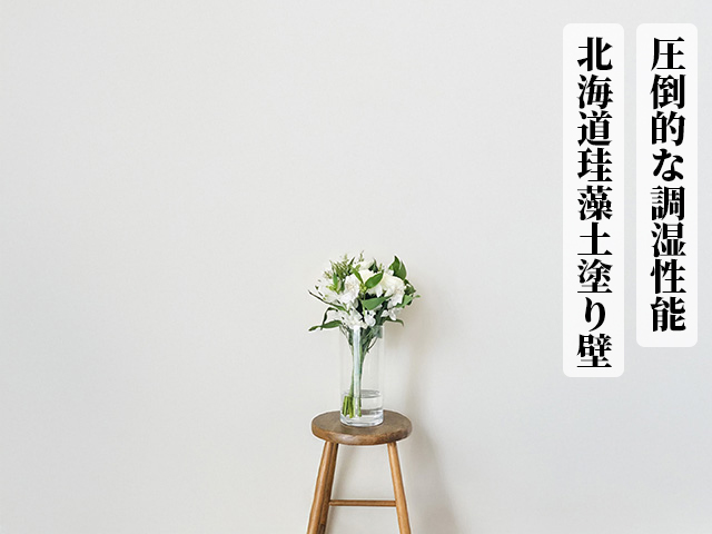 北海道珪藻土塗り壁「nanopirica ナノピリカ」