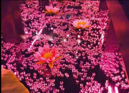 クリスタルライン