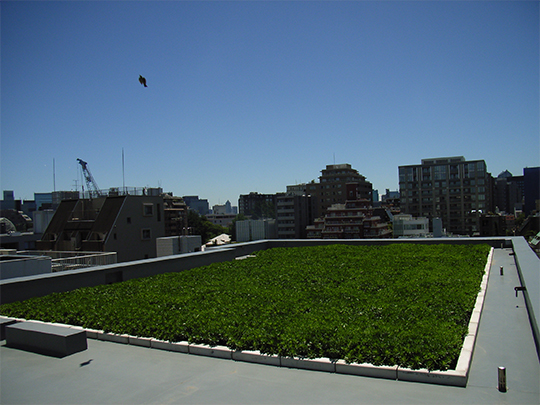 DIY感覚でこんな素敵な屋上緑化が可能です。