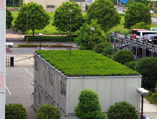 【常緑キリンソウ袋方式】屋上緑化