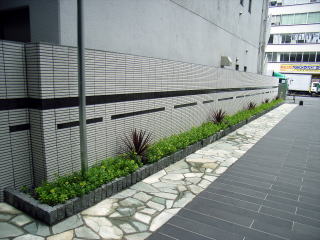 【常緑キリンソウ袋方式】屋上緑化