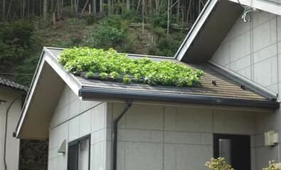 ファスナーが拓く失敗しない屋上緑化システム